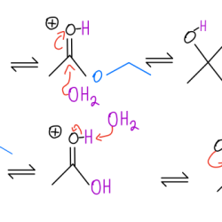 Draw reaction catalyzed acid following organic major inorganic do side show been has solved problem